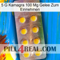 5Gm Kamagra 100Mg Oral Jelly new11